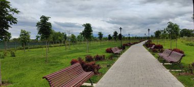 Ağaçları ve yeşil otları olan güzel bir park.