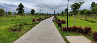 Parkta bir yol manzarası