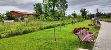Ağacı ve bankı olan güzel bir manzara