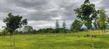 Parkın güzel manzarası