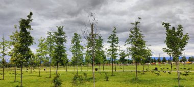 Parkın güzel manzarası