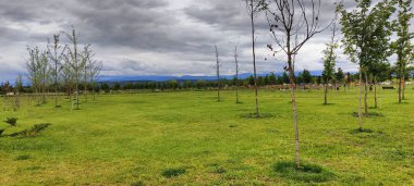 Arkasında bir dağ olan güzel bir manzara.