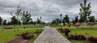 Ağacı ve küçük bir köyü olan güzel bir manzara.