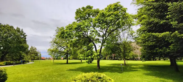 Parkın güzel manzarası