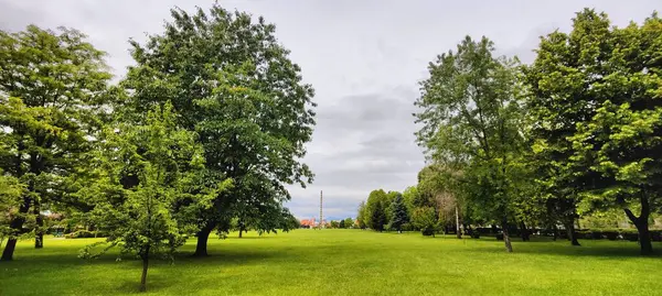 Şehir parkının güzel manzarası