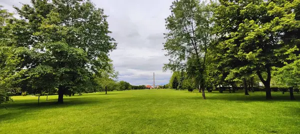 Parkın güzel manzarası