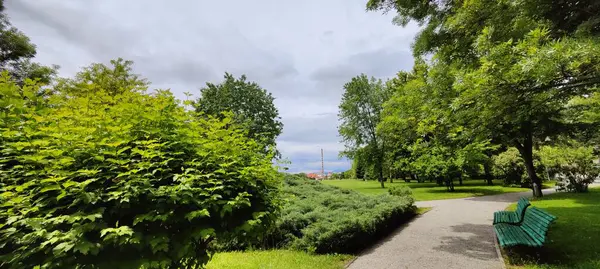 Şehirdeki parkta bir bank.