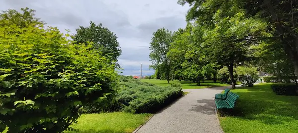 Şehirdeki yeşil park