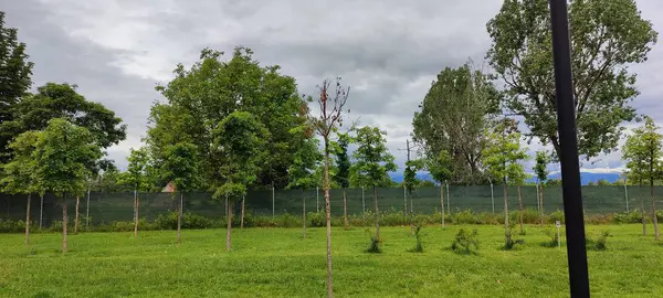 Parkın güzel manzarası