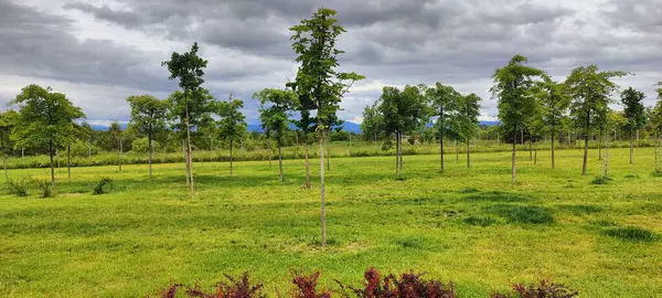 Kırsal manzarası çok güzel.