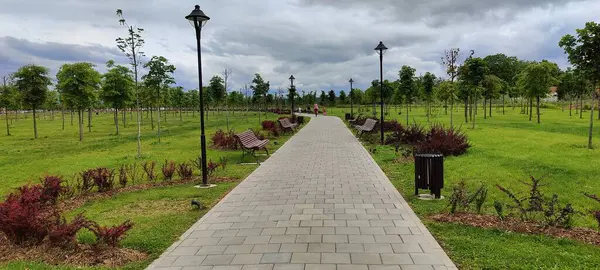 Parkın güzel manzarası