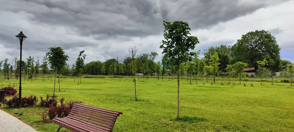 Parkın güzel manzarası