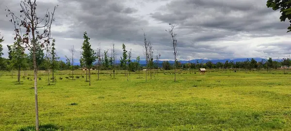 açık hava manzarasının resimsel görüntüsü