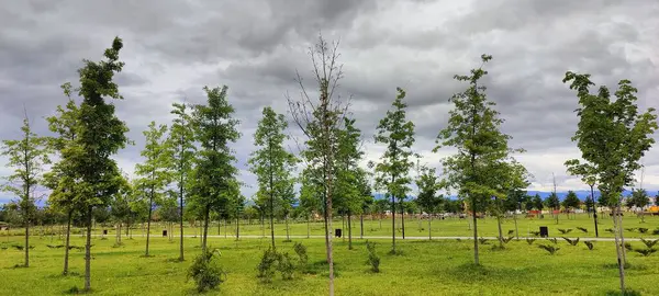 Parkın güzel manzarası