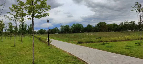 Parkın güzel manzarası