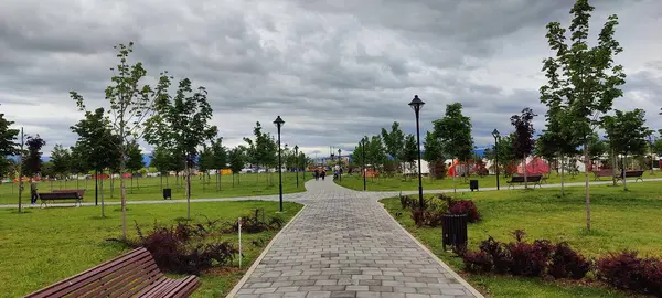 Ağacı ve küçük bir köyü olan güzel bir manzara.