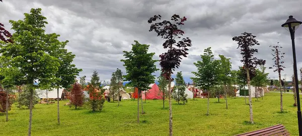 Şehir parkının güzel manzarası