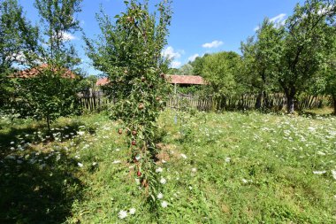 Parkın güzel manzarası