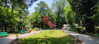 Parkın güzel manzarası