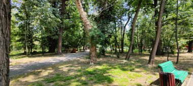 Parktaki yeşil orman