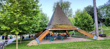 Ormanda ahşap bir bank