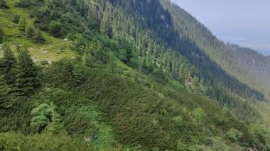 Bir dağ vadisi manzarası