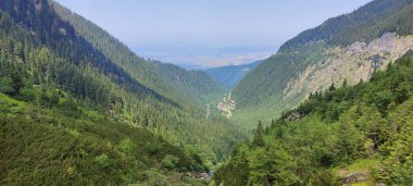 Yeşil çimenler ve ağaçlarla kaplı dağ manzarası