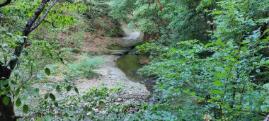 Parktaki nehrin güzel manzarası.