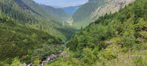 Nehir ve orman İsrail 'in kuzeyindeki dağlarda.
