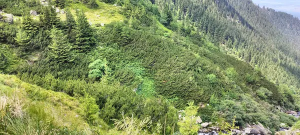 Dağların güzel manzarası