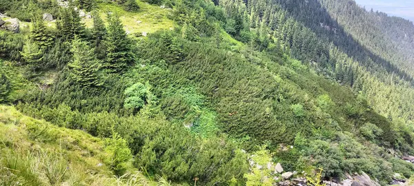 Dağların güzel manzarası