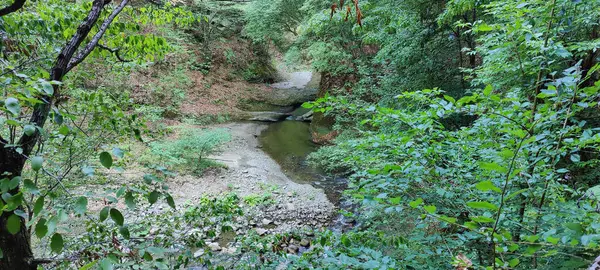Parktaki nehrin güzel manzarası.