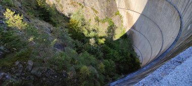 Ormandaki nehrin havadan görünüşü