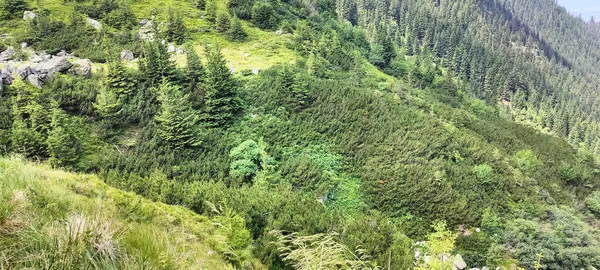 Dağların güzel manzarası