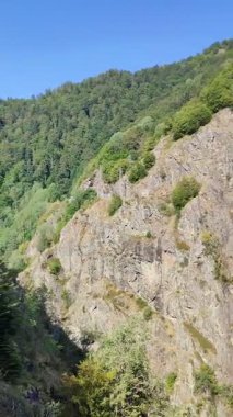 Dağlarda güzel bir nehir manzarası.