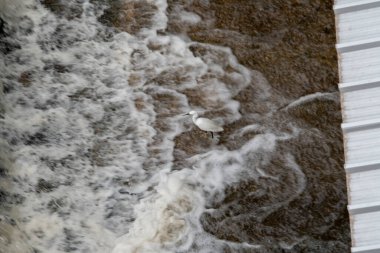 Nehirdeki bir İHA 'nın hava görüntüsü.