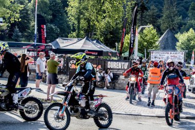 Ormandaki bir grup insan.