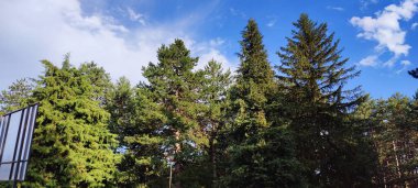 Eski şehrin manzarası.