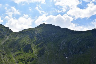Karpat Dağları 'ndaki güzel dağ manzarası