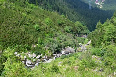 Parktaki güzel şelale