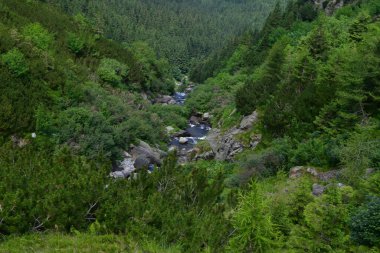 Dağlarda yeşilliklerle çevrili güzel bir nehir görüntüsü.