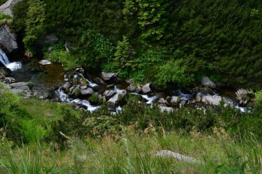 Yaz gününde dağ deresi