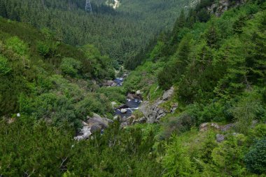 Yeşil ormanlı güzel dağ manzarası