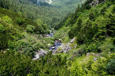Güzel orman ve dağların havadan görünüşü