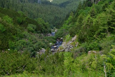 Ormandaki güzel dağ nehri