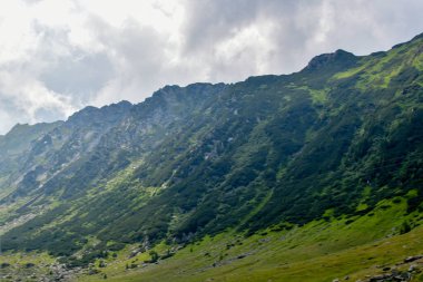 Yaz mevsiminde Karpat Dağlarının güzel manzarası