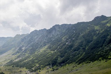 Karpatlar 'daki güzel dağ manzarası