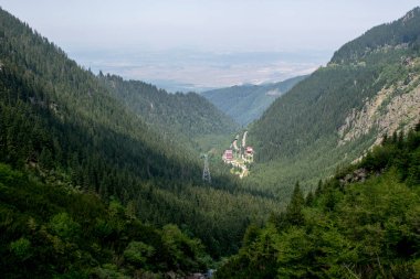 Dağların ve ormanın manzarası.