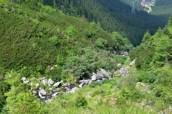 Parktaki güzel şelale