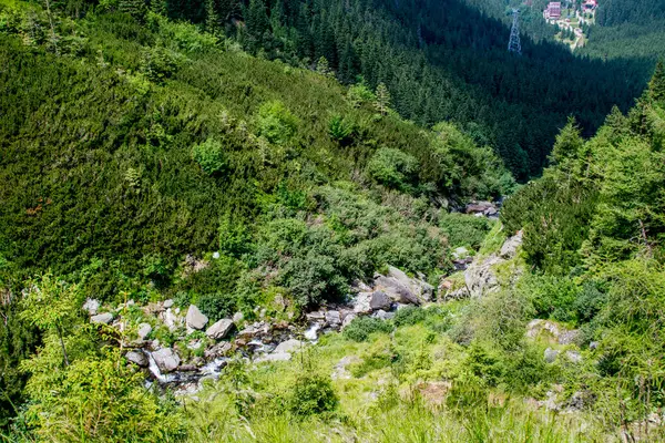Arkasında orman olan bir dağ nehrinin güzel bir görüntüsü.